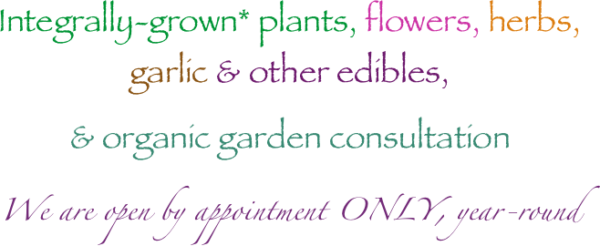 Integrally-grown* plants, flowers, herbs, garlic & other edibles,
& organic garden consultation
We are open by appointment ONLY, year-round